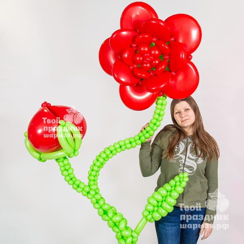Большой цветок на каркасе! Оформление праздника, фотозона в Калининграде! Шары39.рф, Звоните нам 52-01-67
