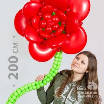 Большой цветок на каркасе! Оформление праздника, фотозона в Калининграде! Шары39.рф, Звоните нам 52-01-67