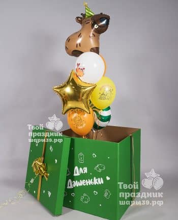 Коробка с яркими шарами и капибарой для девочки. Шары39, Калининград