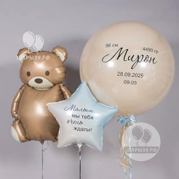 Набор шаров на выписку в нежном цвете. Шары39, Калининград